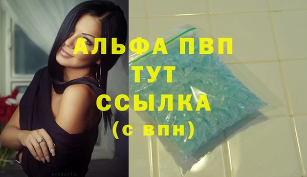 крисы Вязьма