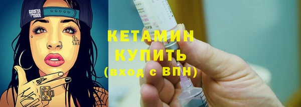 крисы Вязьма