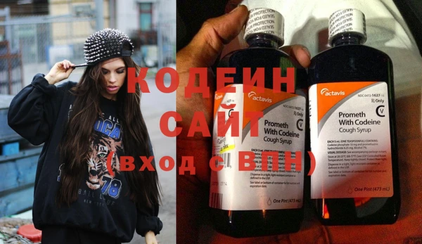 крисы Вязьма