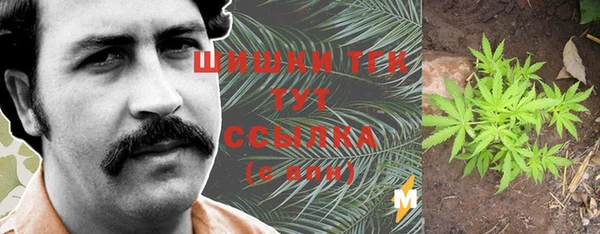 крисы Вязьма
